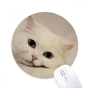 Dıythinker Kedi Beyaz Kedi Evcil Hayvan Hayvan Rahatlatıcı Baskılı Yuvarlak Kaymaz Kauçuk Mouse Pad