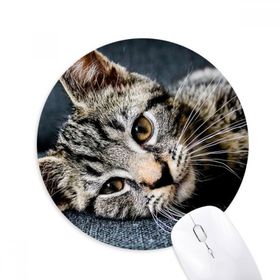 Dıythinker Kedi Çizgili Kedi Hayvan Rahatlama Sevimli Baskılı Yuvarlak Kaymaz Kauçuk Mouse Pad