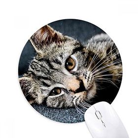 Dıythinker Kedi Çizgili Kedi Hayvan Rahatlama Sevimli Baskılı Yuvarlak Kaymaz Kauçuk Mouse Pad