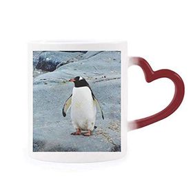 Dıythinker Kırmızı Çok Renkli Antarktik Taş Okyanus Pengueni Doğa Bilim Isıya Duyarlı Kalp Kupa