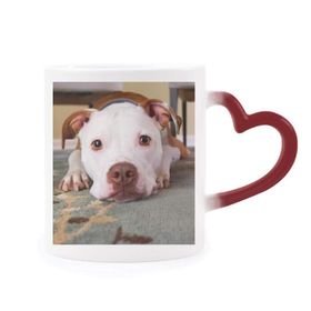 Dıythinker Kırmızı Çok Renkli Beyaz Bulldog Evcil Hayvan Resim Şekil Isıya Duyarlı Kalp Kupası