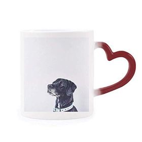 Dıythinker Kırmızı Çok Renkli Beyaz Köpek Evcil Hayvan Fotoğraf Isıya Duyarlı Kalp Kupası