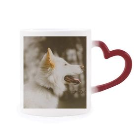 Dıythinker Kırmızı Çok Renkli Beyaz Köpek Evcil Hayvan Fotoğraf Şekil Isıya Duyarlı Kalp Kupa