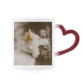 Dıythinker Kırmızı Çok Renkli Beyaz Köpek Evcil Hayvan Fotoğraf Şekil Isıya Duyarlı Kalp Kupa