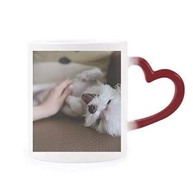 Dıythinker Kırmızı Çok Renkli Beyaz Köpek Evcil Hayvan Sevimli Fotoğraf Şekil Isıya Duyarlı Kalp Kupası