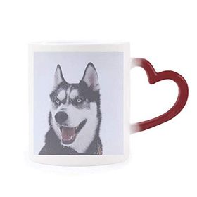Dıythinker Kırmızı Çok Renkli Big Dog Snow Husky Resim Şekil Isıya Duyarlı Kalp Kupa