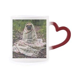 Dıythinker Kırmızı Çok Renkli Bulldog Evcil Hayvan Fotoğrafçılığı Resim Isıya Duyarlı Kalp Kupası