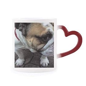 Dıythinker Kırmızı Çok Renkli Bulldog Evcil Hayvan Fotoğrafçılık Resimleri Şekil Isıya Duyarlı Kalp Kupası