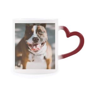 Dıythinker Kırmızı Çok Renkli Bulldog Evcil Hayvan Korkunç Resim Şekil Isıya Duyarlı Kalp Kupa