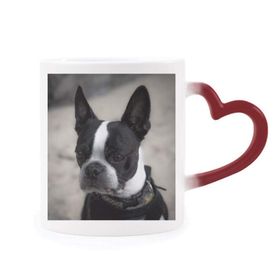 Dıythinker Kırmızı Çok Renkli Bulldog Evcil Hayvan Koyu Resim Şekil Isıya Duyarlı Kalp Kupa