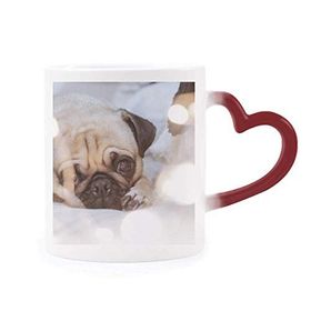 Dıythinker Kırmızı Çok Renkli Bulldog Evcil Hayvan Yalnız Resim Isıya Duyarlı Kalp Kupası