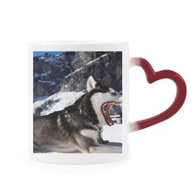 Dıythinker Kırmızı Çok Renkli Büyük Ağızlı Köpek Kar Husky Resim Şekil Isıya Duyarlı Kalp Kupa