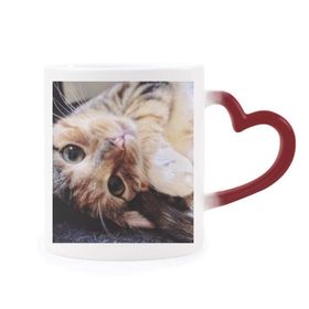 Dıythinker Kırmızı Çok Renkli Çizgili Kedi Rahatlatıcı Hayvan Sevimli Şekil Isıya Duyarlı Kalp Kupası