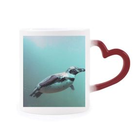 Dıythinker Kırmızı Çok Renkli Deniz Antarktik Penguen Yaratık Bilim Doğa Isıya Duyarlı Kalp Kupa