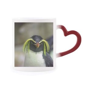 Dıythinker Kırmızı Çok Renkli Deniz Bilimi Doğa Antarktik Penguen Resim Şekil Isıya Duyarlı Kalp Kupa
