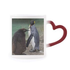 Dıythinker Kırmızı Çok Renkli Deniz Soğuk Antarktik Penguen Bilim Doğa Resim Şekil Isıya Duyarlı Kalp Kupa