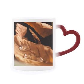 Dıythinker Kırmızı Çok Renkli Düşen Yapraklar Bitki Doğa Fotoğrafçılığı Isıya Duyarlı Kalp Kupası
