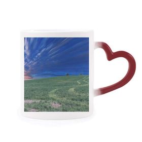 Dıythinker Kırmızı Çok Renkli Grassland Yeşil Mavi Gökyüzü Isıya Duyarlı Kalp Kupa