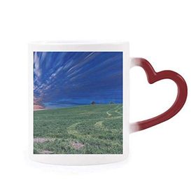 Dıythinker Kırmızı Çok Renkli Grassland Yeşil Mavi Gökyüzü Isıya Duyarlı Kalp Kupa