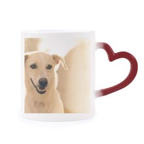 Dıythinker Kırmızı Çok Renkli Gülümseme Beyaz Köpek Evcil Hayvan Resim Şekil Isıya Duyarlı Kalp Kupası