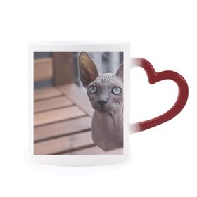 Dıythinker Kırmızı Çok Renkli Hayvan Büyük Kulak Kedi Fotoğraf Çekimi Isıya Duyarlı Kalp Kupası