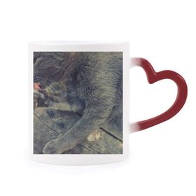Dıythinker Kırmızı Çok Renkli Hayvan Deseni Gri Kedi Fotoğrafı Isıya Duyarlı Kalp Kupası