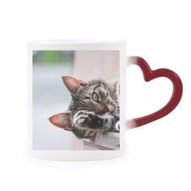 Dıythinker Kırmızı Çok Renkli Hayvan Etkinliği Kedi Fotoğrafı Resim Şekil Isıya Duyarlı Kalp Kupası