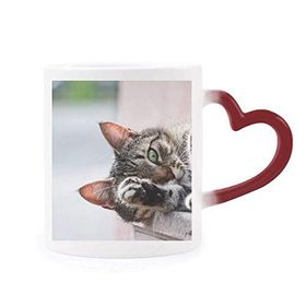 Dıythinker Kırmızı Çok Renkli Hayvan Etkinliği Kedi Fotoğrafı Resim Şekil Isıya Duyarlı Kalp Kupası