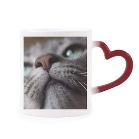 Dıythinker Kırmızı Çok Renkli Hayvan Görünümlü Kedi Fotoğrafı Isıya Duyarlı Kalp Kupası