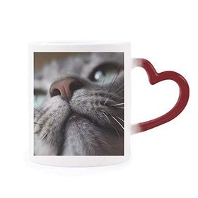 Dıythinker Kırmızı Çok Renkli Hayvan Görünümlü Kedi Fotoğrafı Isıya Duyarlı Kalp Kupası