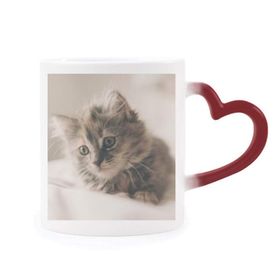 Dıythinker Kırmızı Çok Renkli Hayvan Kitty Gri Kedi Fotoğrafı Şekil Isıya Duyarlı Kalp Kupası
