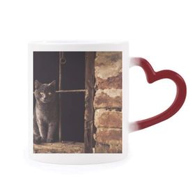 Dıythinker Kırmızı Çok Renkli Hayvan Köşe Kedi Fotoğraf Resim Şekil Isıya Duyarlı Kalp Kupası