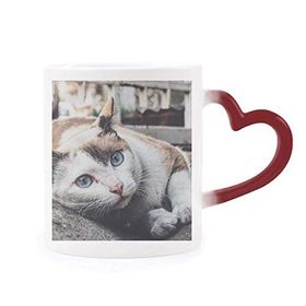Dıythinker Kırmızı Çok Renkli Hayvan Renkli Kedi Fotoğrafı Resim Şekil Isıya Duyarlı Kalp Kupası