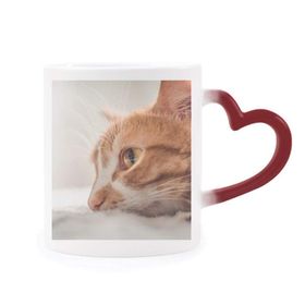 Dıythinker Kırmızı Çok Renkli Hayvan Saf Kedi Fotoğrafı Resim Şekil Isıya Duyarlı Kalp Kupası