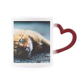 Dıythinker Kırmızı Çok Renkli Hayvan Saf Mavi Gözlü Kedi Fotoğrafı Isıya Duyarlı Kalp Kupası