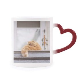 Dıythinker Kırmızı Çok Renkli Hayvan Şişman Garfield Kedi Fotoğraf Isıya Duyarlı Kalp Kupası