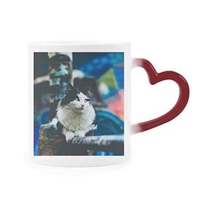 Dıythinker Kırmızı Çok Renkli Hayvan Tembel Kedi Fotoğraf Çekimi Isıya Duyarlı Kalp Kupası