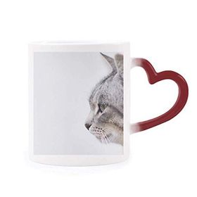 Dıythinker Kırmızı Çok Renkli Hayvan Yawn Cat Simpol Shoot Morphing Isıya Duyarlı Kalp Kupası