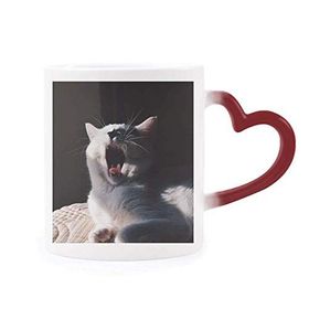 Dıythinker Kırmızı Çok Renkli Hayvan Yawn Kedi Fotoğraf Çekimi Isıya Duyarlı Kalp Kupası