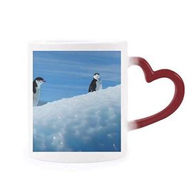 Dıythinker Kırmızı Çok Renkli İki Antarktik Penguenler Bilim Doğa Resim Şekil Isıya Duyarlı Kalp Kupa