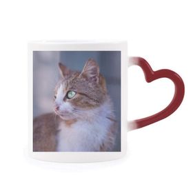 Dıythinker Kırmızı Çok Renkli Kahverengi Kedi Hayvan Profil Vahşi Stare Şekil Isıya Duyarlı Kalp Kupası