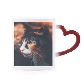 Dıythinker Kırmızı Çok Renkli Kahverengi Kedi Stare Profil Hayvan Vintage Şekil Isıya Duyarlı Kalp Kupası