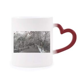 Dıythinker Kırmızı Çok Renkli Kar Manzarası Yol Fotoğrafçılığı Isıya Duyarlı Kalp Kupası