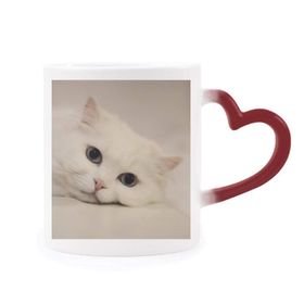 Dıythinker Kırmızı Çok Renkli Kedi Beyaz Kedi Yavrusu Evcil Hayvan Hayvan Rahatlatıcı Şekil Isıya Duyarlı Kalp Kupası