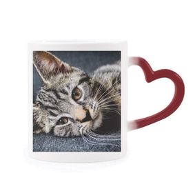 Dıythinker Kırmızı Çok Renkli Kedi Çizgili Kedi Hayvan Rahatlama Sevimli Şekil Isıya Duyarlı Kalp Kupası