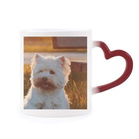 Dıythinker Kırmızı Çok Renkli Köpek Beyaz Hayvan Yalnız Gece Isıya Duyarlı Kalp Kupası