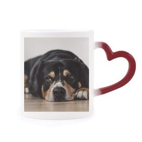 Dıythinker Kırmızı Çok Renkli Köpek Evcil Hayvan Fotoğraf Zemin Resmi Isıya Duyarlı Kalp Kupası