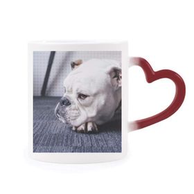 Dıythinker Kırmızı Çok Renkli Köpek Evcil Hayvan Hayvan Gri Resim Şekil Isıya Duyarlı Kalp Kupa