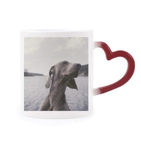 Dıythinker Kırmızı Çok Renkli Köpek Evcil Hayvan Hayvan Gri Resim Şekil Isıya Duyarlı Kalp Kupa