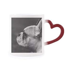 Dıythinker Kırmızı Çok Renkli Köpek Evcil Hayvan Hayvan Gri Resim Şekil Isıya Duyarlı Kalp Kupa